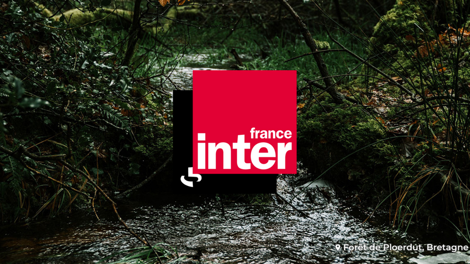 France Inter vous faire découvrir EcoTree !