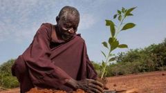 « L’homme qui a arrêté le désert » reçoit le Nobel alternatif