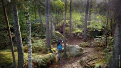 Fontainebleau forêt d’Exception : un nouveau contrat de projet