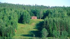 Scandinavie : les forêts de Suède