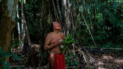 Un synode pour la forêt amazonienne