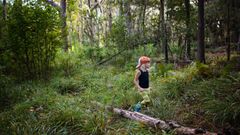 En Finlande, des garderies reproduisent des “sols forestiers” pour la santé des enfants
