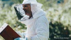 Entretien avec Gilles Kervot, apiculteur, producteur de miel pour EcoTree