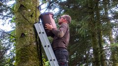 Why we’re installing birdhouses in forests