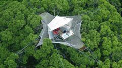 Radeau des cimes : perché au sommet de la biodiversité