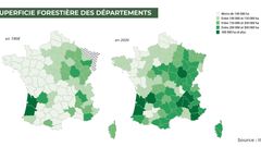 Les grandes statistiques des forêts de France