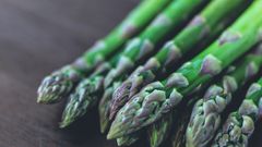 Quelle est la différence entre l’asperge des bois et l’asperge sauvage ?