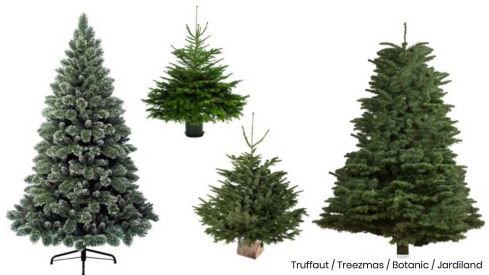 Why you should buy a real tree this Christmas EcoTree