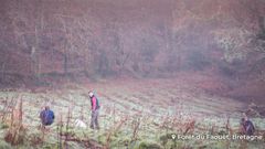 Forêts : pourquoi et comment les gérer ?