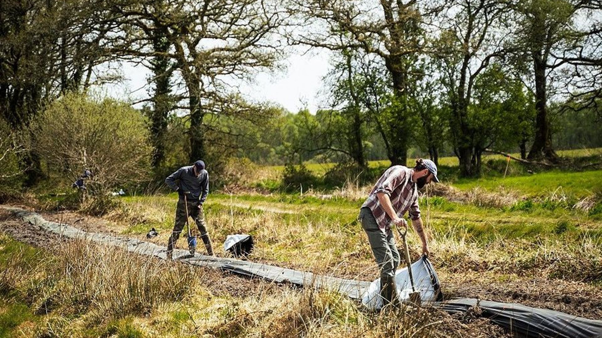 What's sustainable forestry and why's it important for the forest?