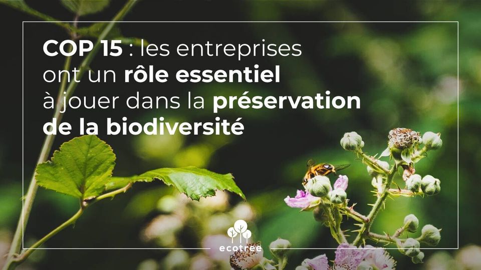 COP 15 : les entreprises ont un rôle à jouer pour la biodiversité