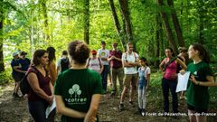 Que s’est-il passé dans nos forêts en juin ?