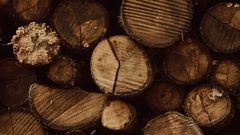 Trä som byggmaterial - en värdefull hållbar resurs