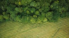 What is agroforestry and why is it good for the environment?