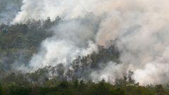 Incendies dans la forêt amazonienne