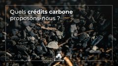 Crédits carbone : tout comprendre pour s’y retrouver