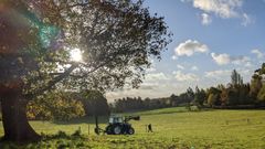 EcoTree breaks ground on first UK agroforestry project
