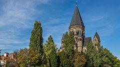 20 000 arbres seront plantés à Metz