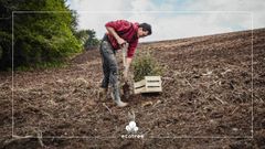 Quelle est la diversité des essences que nous plantons dans nos forêts ?