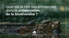 Les entreprises ont intérêt à préserver la biodiversité