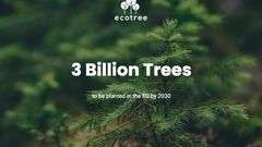 EcoTree gör ett stort bidrag när det gäller att nå EU:s mål på tre miljarder nya träd