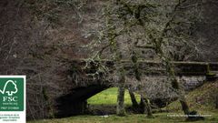 Nous obtenons la certification FSC® dans nos forêts du Limousin