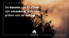 De bossen van EcoTree zijn verzekerd tegen de grillen van de natuur