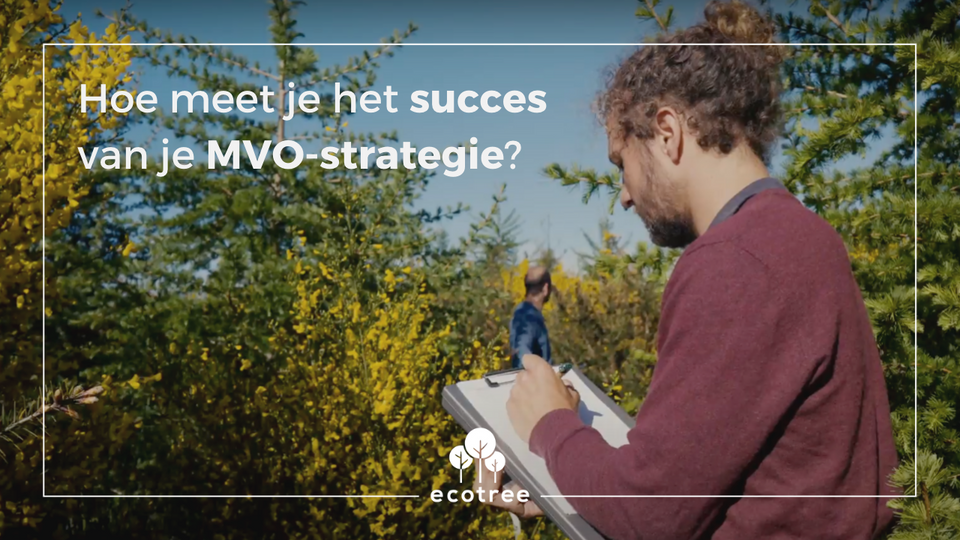 Hoe meet je het succes van je MVO-strategie?