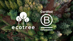 B Corp: EcoTree har en positiv effekt på planeten