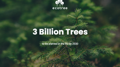 EcoTree key contributor to the EU’s 3 billion Trees Pledge
