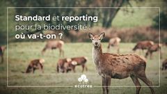 Standards, reporting sur la biodiversité : quelles obligations pour les entreprises ?