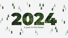 A year in the forest: 2024 wrapped