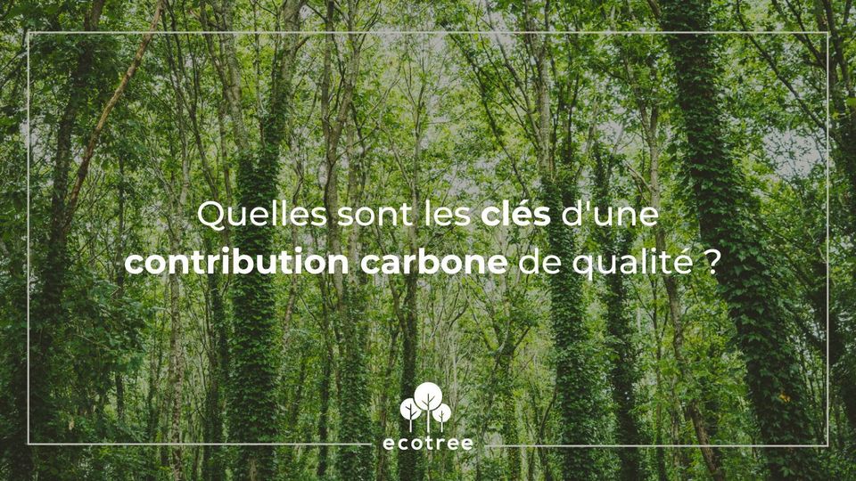 10 conseils pour une contribution carbone de qualité