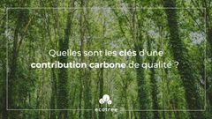 10 conseils pour une contribution carbone de qualité