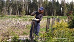 Tech-based vs nature-based solutions : quand la Technique veut dominer la nature