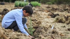 7 raisons d'offrir des arbres pour Noël