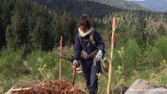 Plantations dans la forêt du Syndicat