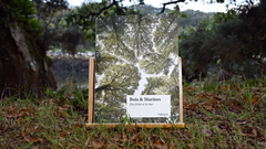 Bois & Marines, des forêts à la mer