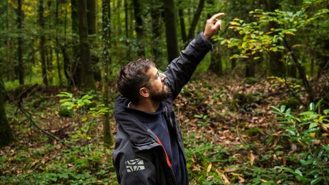 Meet the EcoTree team restoring Europe’s forests