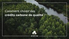 Livre blanc : comment choisir des crédits carbone de qualité ?