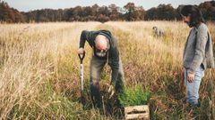 7 gode grunde til at give træer i danske skove som julegave