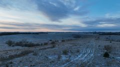 The Old Gravel Forest in Nysum: Nature sets the pace for the plantings