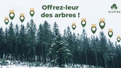 Offrir des arbres à Noël, connaissez-vous ce cadeau original ?