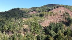 Plan national de renouvellement forestier : ne pas se tromper de cible !