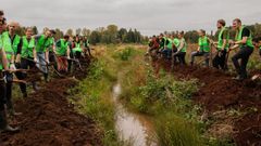 On building thriving wetlands together.