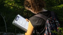 EmpCo : vos allégations forêt et biodiversité méritent mieux qu'une checklist RSE générique