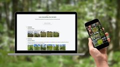 5 façons d'avoir des nouvelles de vos arbres