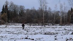 Que se passe-t-il dans la forêt en hiver ?