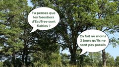 EcoTree est-il fiable ? Nous avons posé la question aux arbres