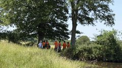 Décarbonation pour les entreprises : pourquoi la forêt française est devenue un levier incontournable